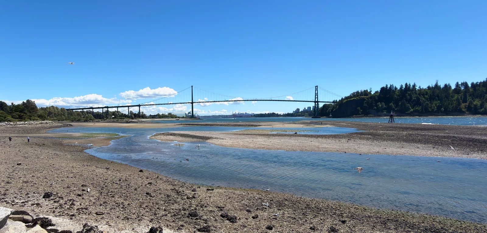The Capilano River mouth at low tide with Lions Gate Bridge in the distance
